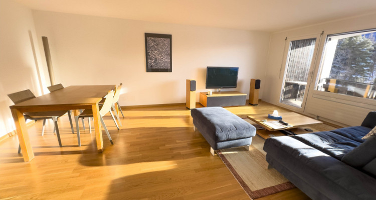 Vercorin - 3.5 pièces en résidence secondaire - Roches-Hombes image 2