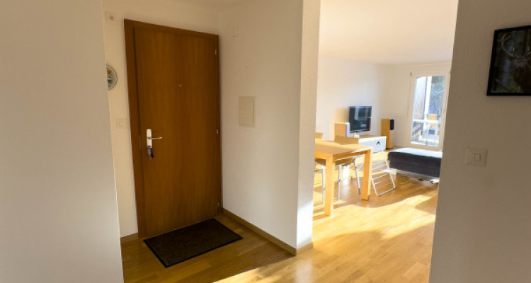 Vercorin - 3.5 pièces en résidence secondaire - Roches-Hombes image 12