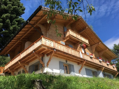 Dans chalet Appart. dangle cosy,  vue dominante sur les dents du midi. image 1