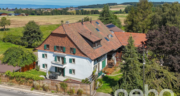 Ferme rénovée et actuellement divisée en 3 logements familiaux image 3