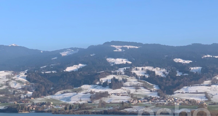 Duplex merveilleux avec vue panoramique sur le lac de la Gruyère image 2