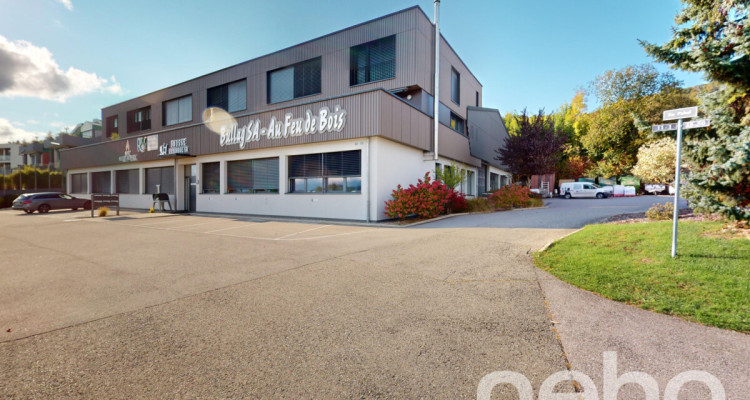 Duplex merveilleux avec vue panoramique sur le lac de la Gruyère image 12