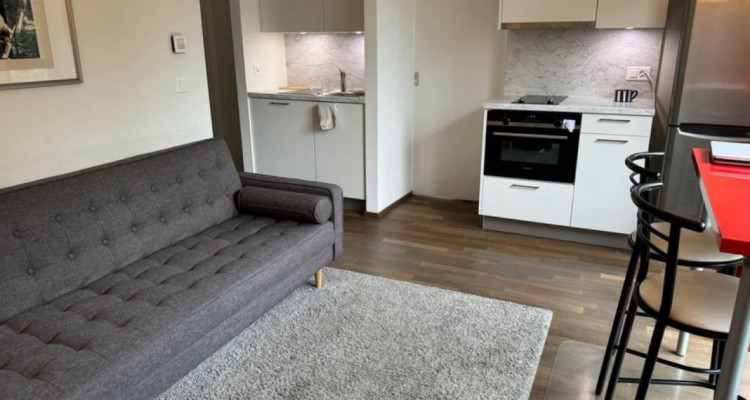 Appartement meublé lumineux de 2,5 pièces à Thônex  image 2