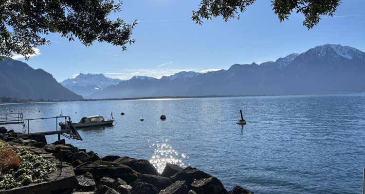 Spacieux appartement neuf avec vue sur le Lac! image 7