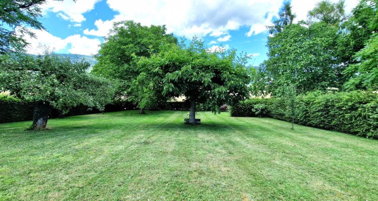 A magnificent and unique historical property with two independent houses image 13