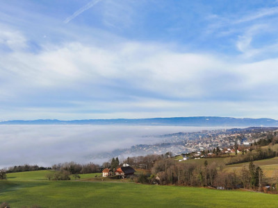 Magnifique maison avec vue sur le Lac Léman en viager occupé sans rente image 1