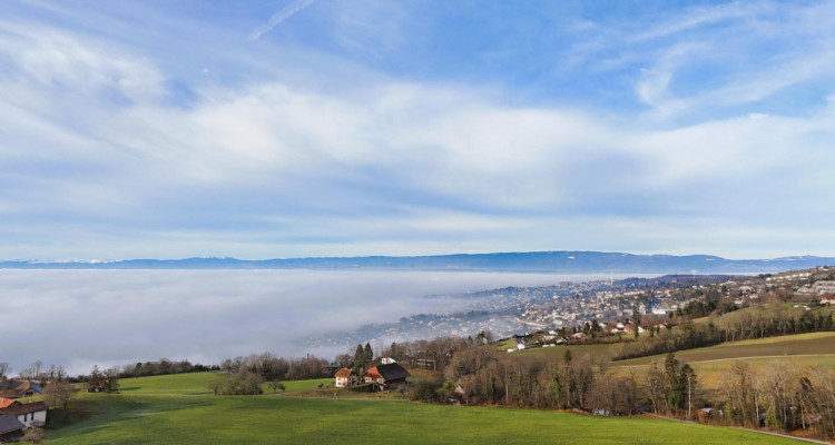 Magnifique maison avec vue sur le Lac Léman en viager occupé sans rente image 1