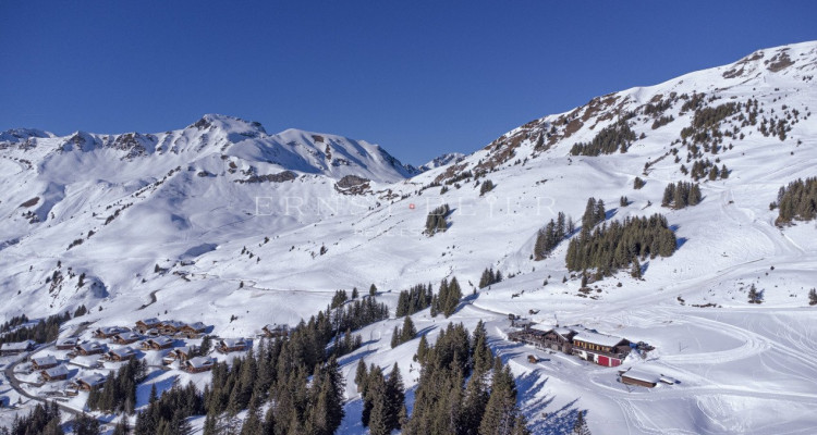 Magnifique hôtel de montagne avec vue imprenable image 9