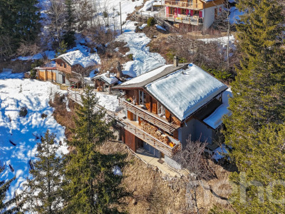 Chalet spacieux et lumineux à Anzère ? Terrain divisé en 4 parcelles image 1