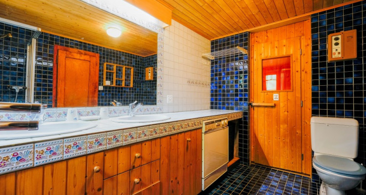 CHESIERES - Chalet dans un écrin de verdure image 6