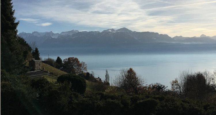 VILLA INDIVIDUELLE - LAVAUX, vue sur le Lac et Alpes  image 1