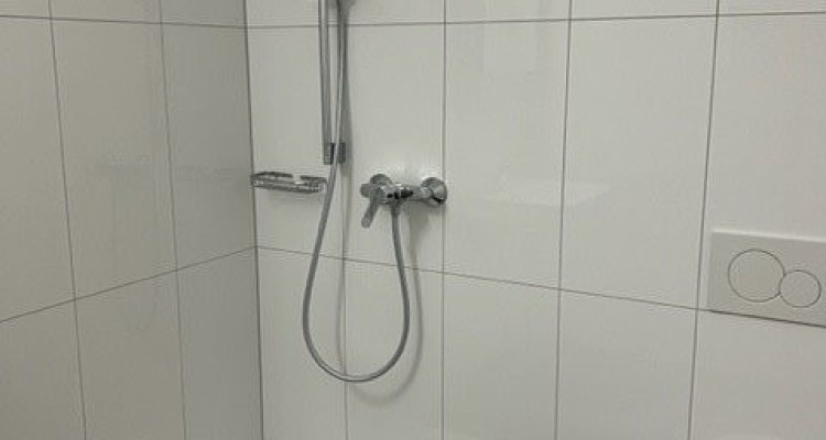 Appartement Fribourg - 1.5 pièces image 4