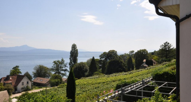 Maison avec vue exceptionnelle, à rénover ! image 2