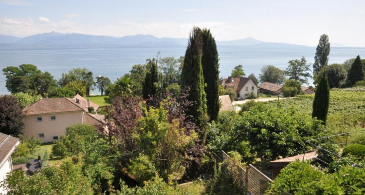 Maison avec vue exceptionnelle, à rénover ! image 4