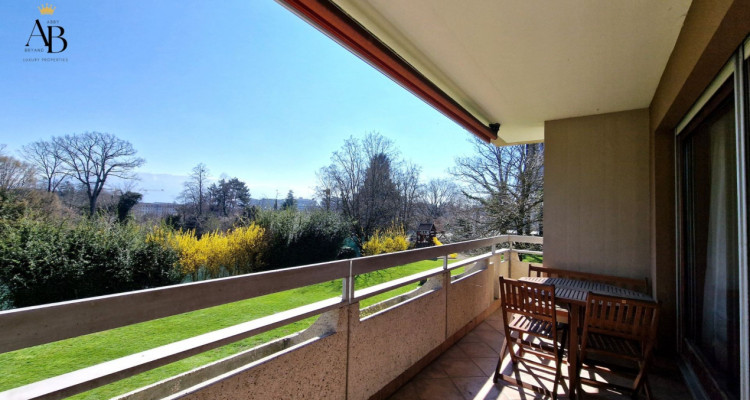 218 sqm Beautiful family Apartment,with mountain views, Petit Saconnex image 4