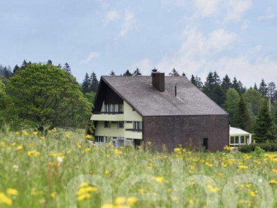 Un lieu unique à découvrir : vous tomberez sous le charme ! image 1