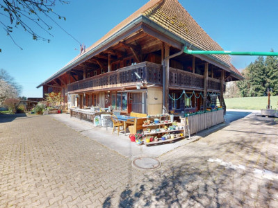 Grosser Wiler image 3