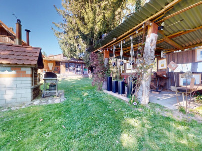 Grosser Wiler image 4