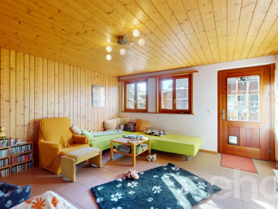 Grosser Wiler image 9