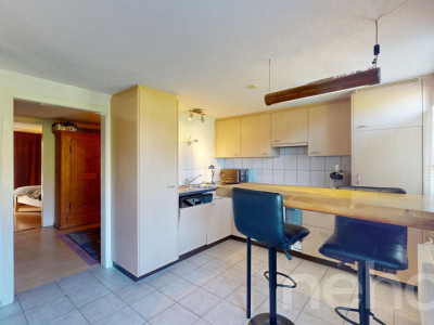 Grosser Wiler image 12