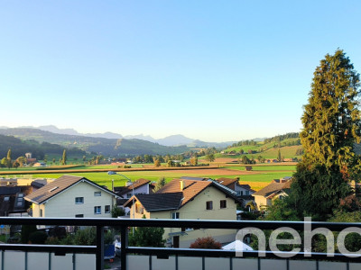 Dachwohnung mit fantastischer Bergsicht image 1