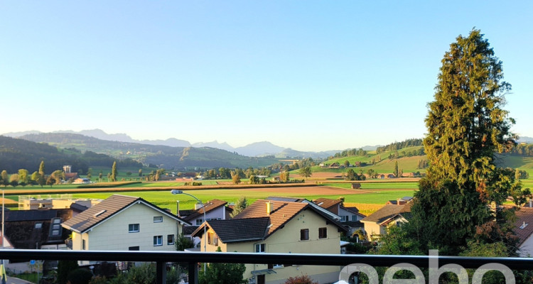 Dachwohnung mit fantastischer Bergsicht image 1