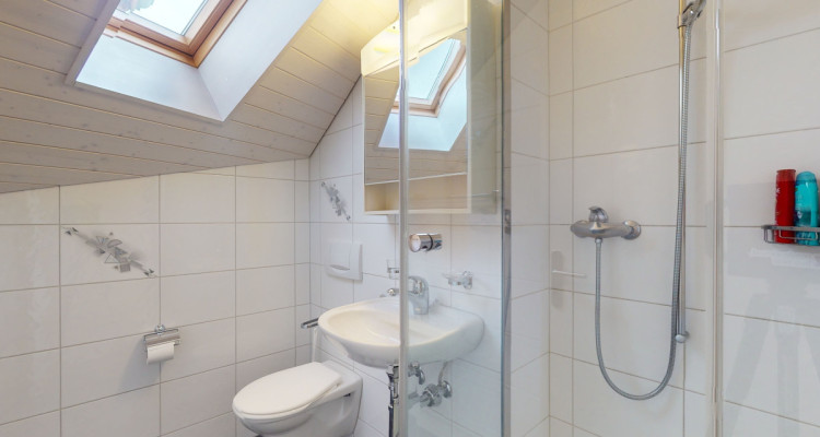 Dachwohnung mit fantastischer Bergsicht image 11