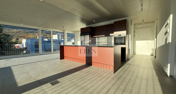 Superbe attique 4 pièces avec façades vitrées et grand balcon-terrasse panoramique de 45 m2 image 6