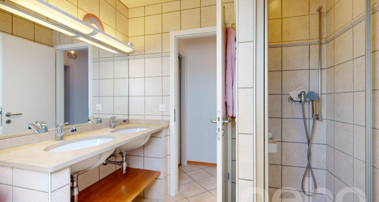 Rare opportunité : duplex familial au calme, baigné de lumière image 8