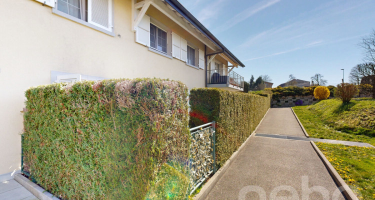 Rare opportunité : duplex familial au calme, baigné de lumière image 12