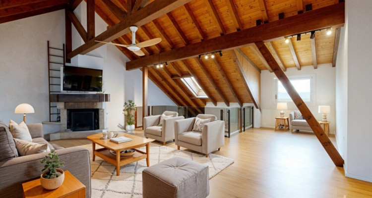 Beau duplex en attique lumineux et bien agencé image 1