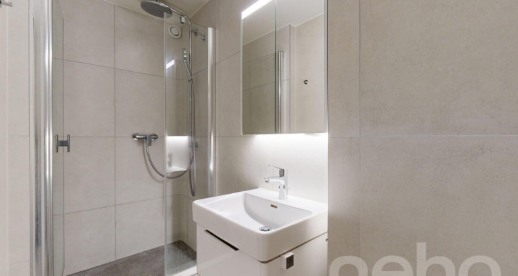 Beau duplex en attique lumineux et bien agencé image 12