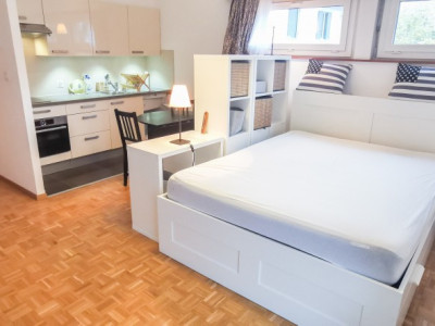  STUDIO MEUBLÉ AU COEUR DE CLARENS image 3