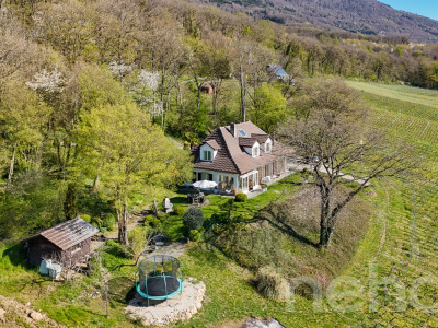 Magnifique maison individuelle avec vue imprenable sur le lac ! image 12