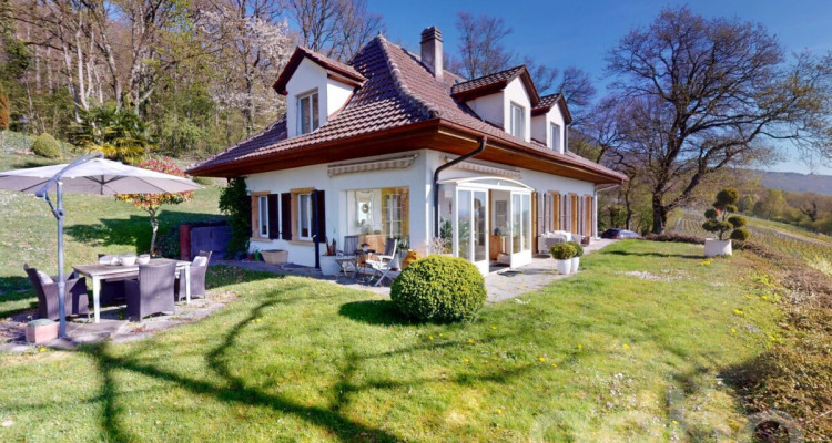 Magnifique maison individuelle avec vue imprenable sur le lac ! image 3