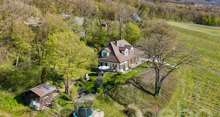 Magnifique maison individuelle avec vue imprenable sur le lac ! image 12