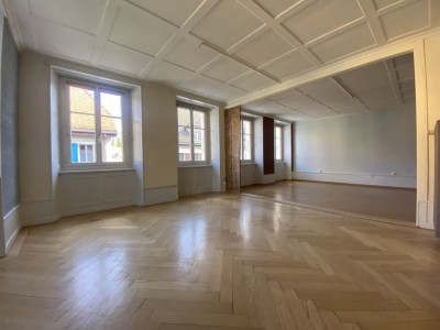 Spacieux duplex avec cachet dans ancienne maison de maître image 1