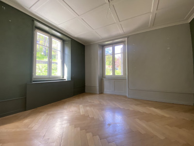 Spacieux duplex avec cachet dans ancienne maison de maître image 3