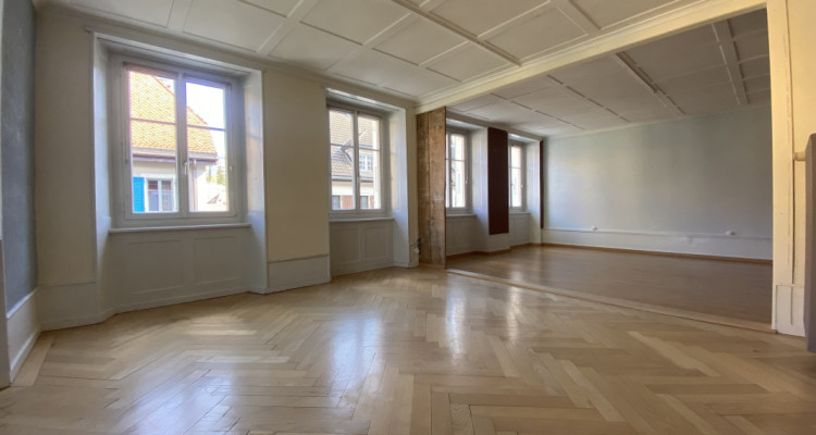 Spacieux duplex avec cachet dans ancienne maison de maître image 1