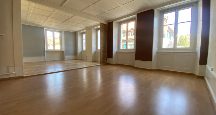 Spacieux duplex avec cachet dans ancienne maison de maître image 2