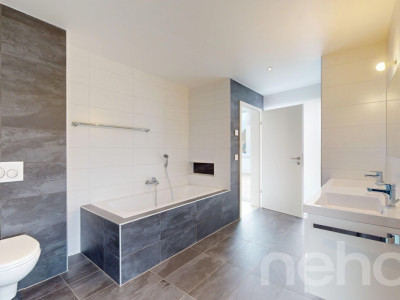 Grande villa de standing au panorama exceptionnel à 30min de Lausanne image 10