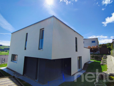 Grande villa de standing au panorama exceptionnel à 30min de Lausanne image 4