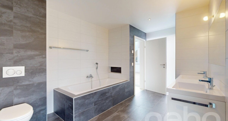 Grande villa de standing au panorama exceptionnel à 30min de Lausanne image 10