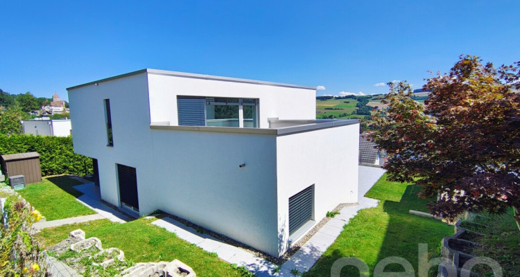 Grande villa de standing au panorama exceptionnel à 30min de Lausanne image 2