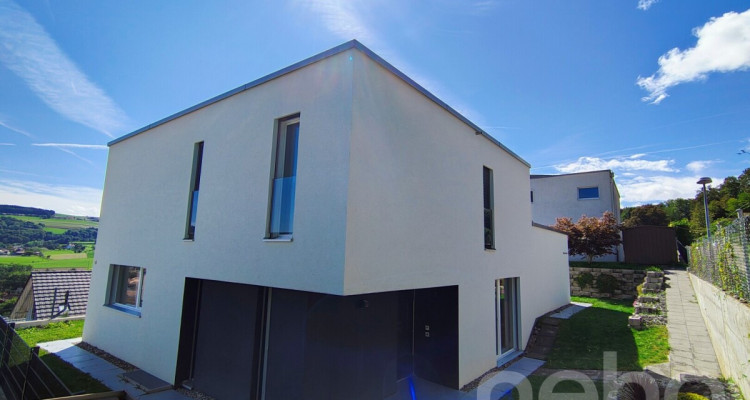 Grande villa de standing au panorama exceptionnel à 30min de Lausanne image 4