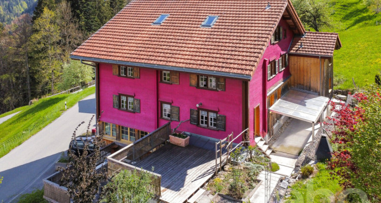 Huus Wildrose ? Ein Rückzugsort voller Geschichte und Charme image 3