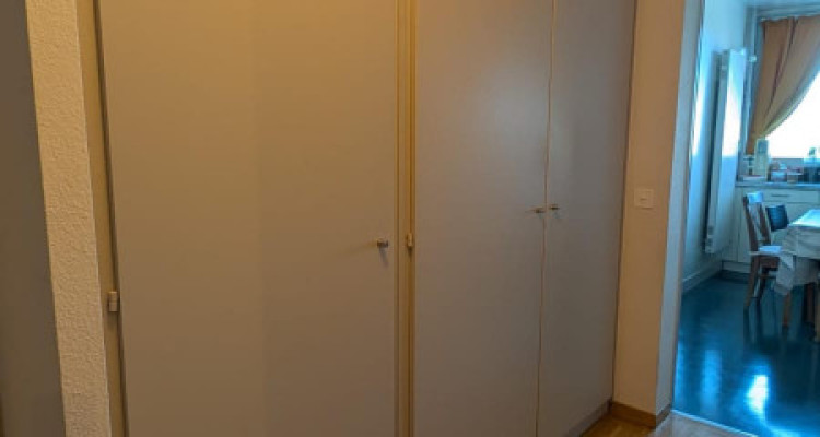 Appartement 5,5 pièces situé au Lignon image 3