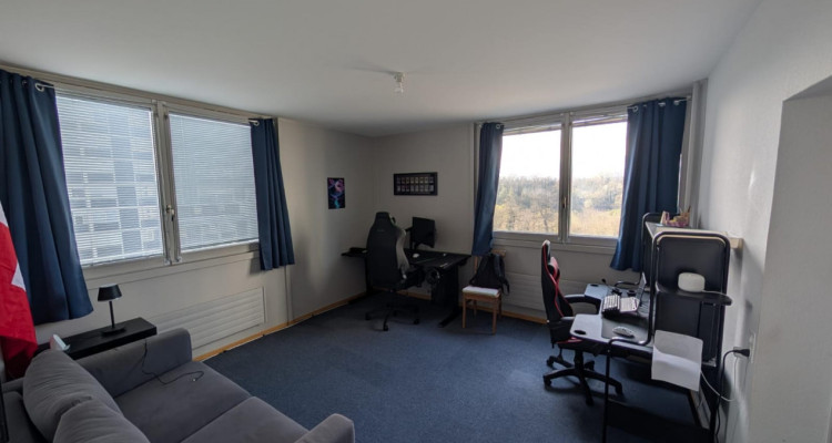 Appartement 5,5 pièces situé au Lignon image 6