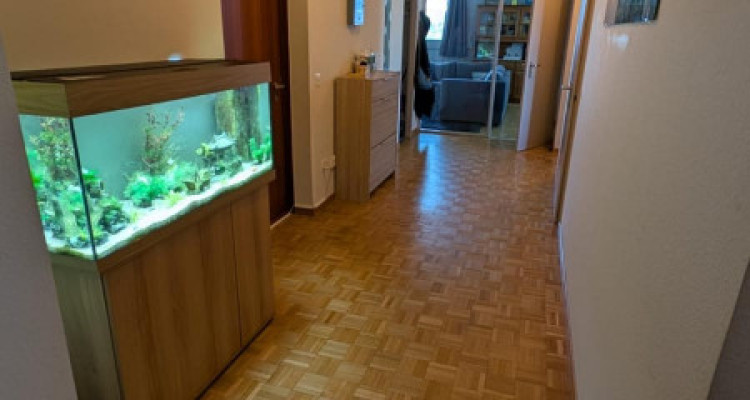 Appartement 5,5 pièces situé au Lignon image 2