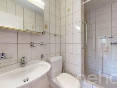 4.5-Zimmer-Attikawohnung mit grandioser Terrasse auf dem Mutschellen image 10